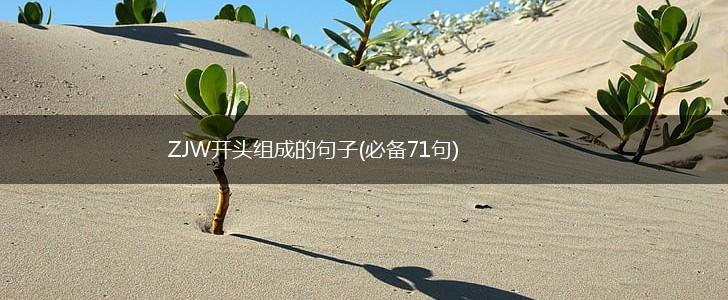 ZJW开头组成的句子(必备71句),第1张