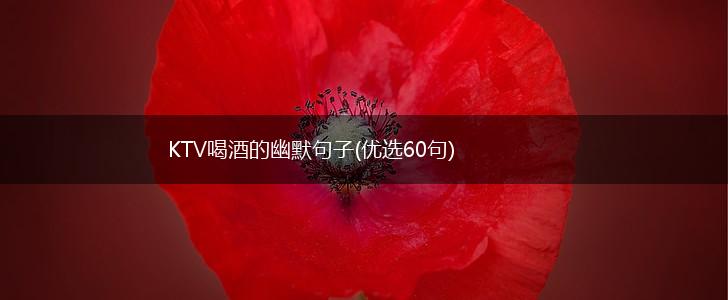 KTV喝酒的幽默句子(优选60句),第1张