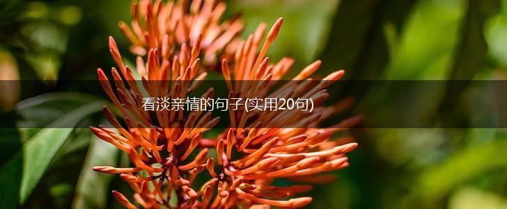 看淡亲情的句子(实用20句),第1张