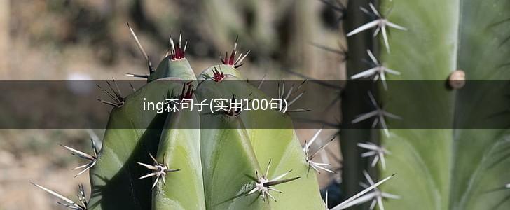 ing森句子(实用100句),第1张