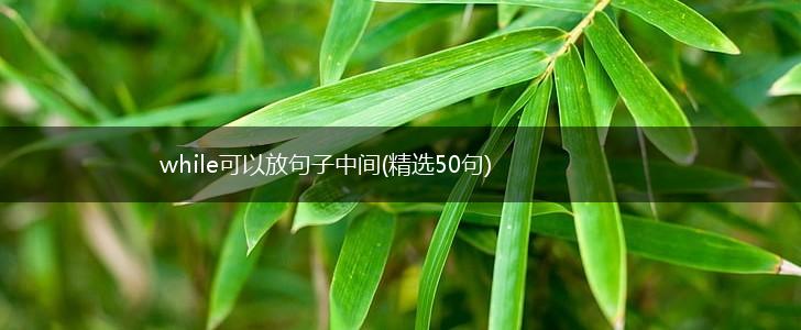 while可以放句子中间(精选50句),第1张