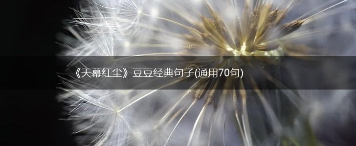 《天幕红尘》豆豆经典句子(通用70句),第1张
