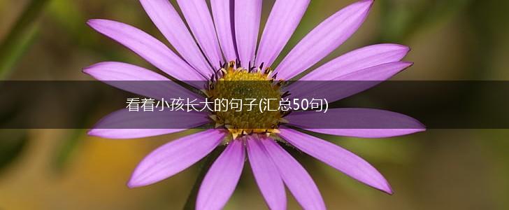 看着小孩长大的句子(汇总50句),第1张