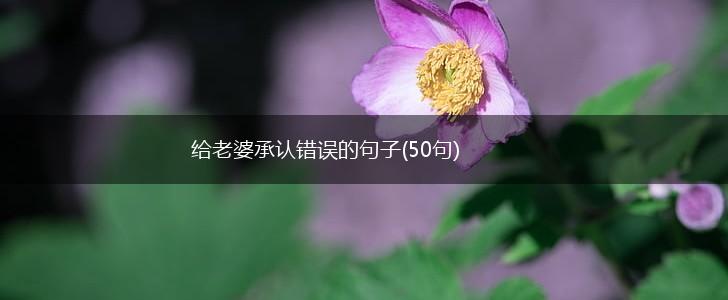 给老婆承认错误的句子(50句),第1张