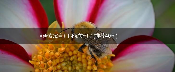 《伊索寓言》的优美句子(推荐40句),第1张