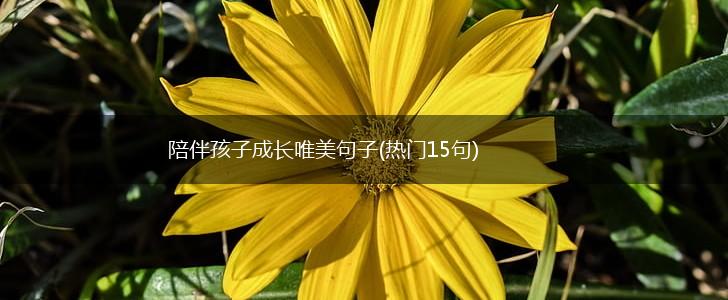 陪伴孩子成长唯美句子(热门15句),第1张