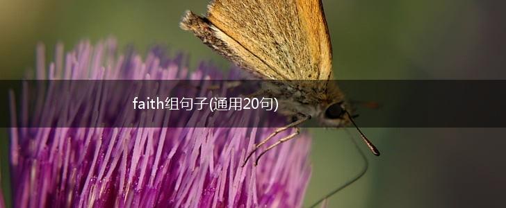 faith组句子(通用20句),第1张