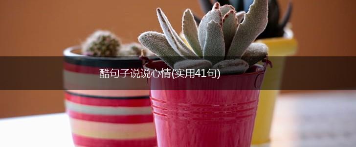 酷句子说说心情(实用41句),第1张