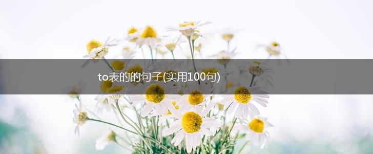 to表的的句子(实用100句),第1张