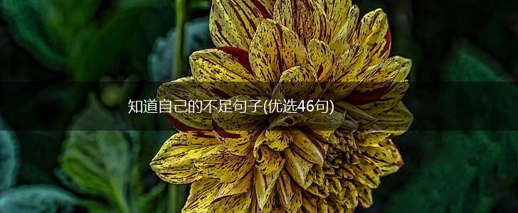 知道自己的不足句子(优选46句),第1张