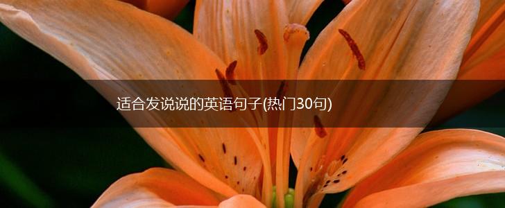 适合发说说的英语句子(热门30句),第1张