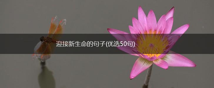 迎接新生命的句子(优选50句),第1张