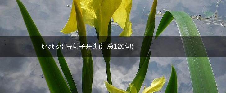 that s引导句子开头(汇总120句),第1张