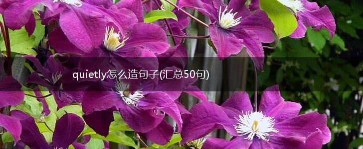 quietly怎么造句子(汇总50句),第1张