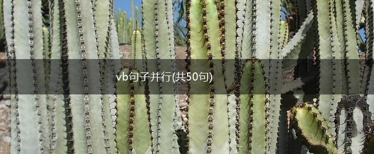 vb句子并行(共50句),第1张