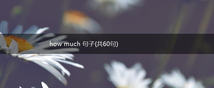 how much 句子(共60句),第1张