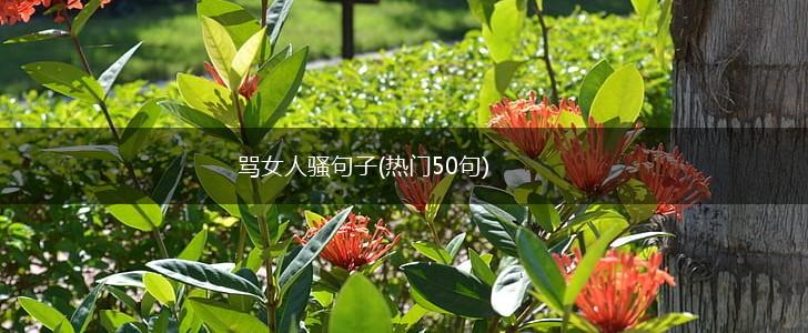 骂女人骚句子(热门50句),第1张