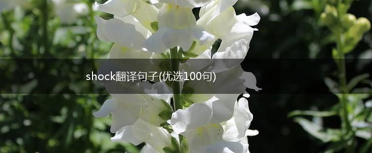 shock翻译句子(优选100句),第1张