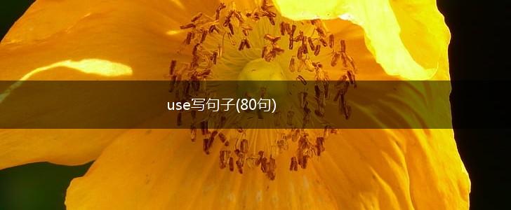 use写句子(80句),第1张