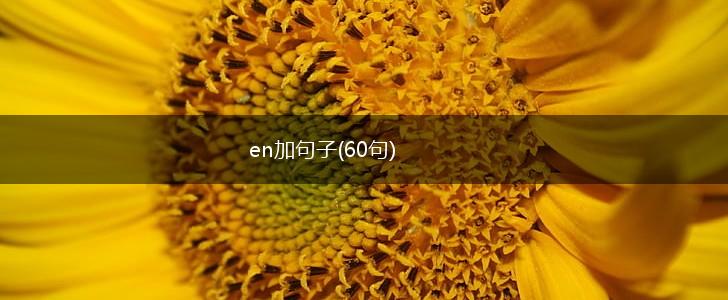 en加句子(60句),第1张