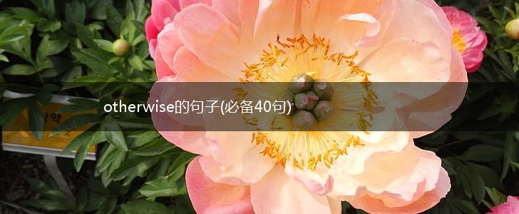 otherwise的句子(必备40句),第1张