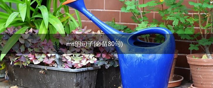 ms的句子(必备80句),第1张