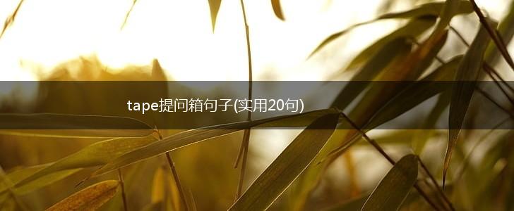 tape提问箱句子(实用20句),第1张