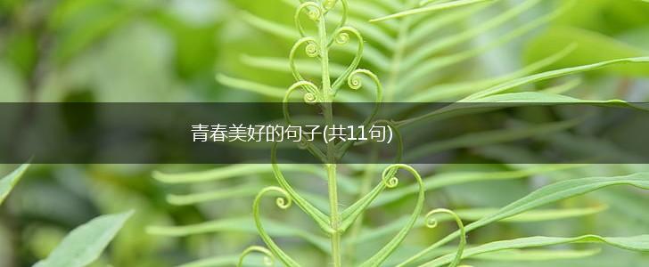 青春美好的句子(共11句),第1张