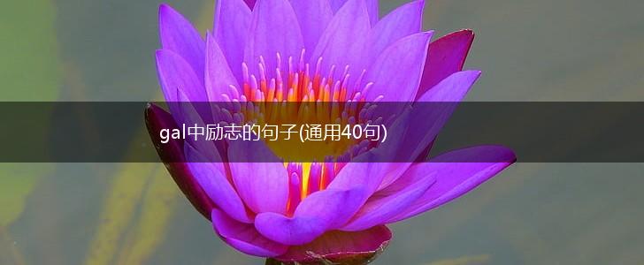 gal中励志的句子(通用40句),第1张