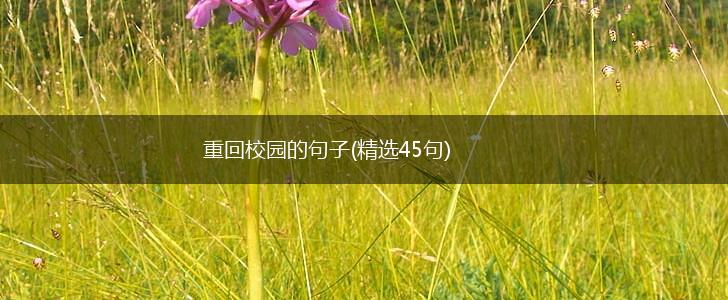 重回校园的句子(精选45句),第1张