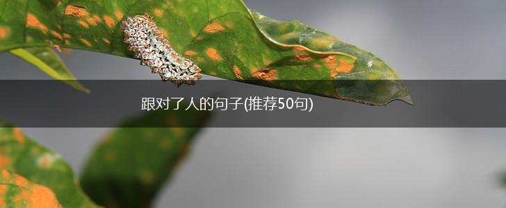 跟对了人的句子(推荐50句),第1张