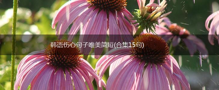 韩语伤心句子唯美简短(合集15句),第1张