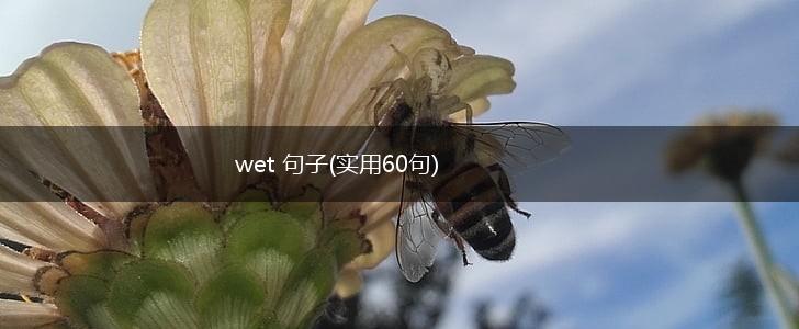 wet 句子(实用60句),第1张
