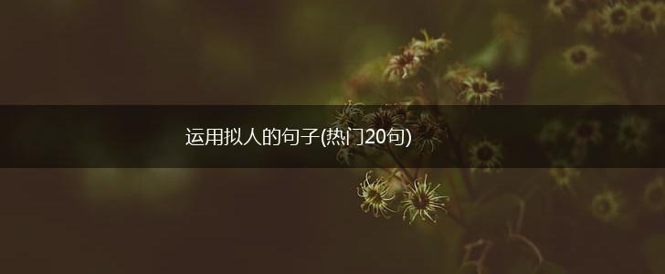 运用拟人的句子(热门20句),第1张