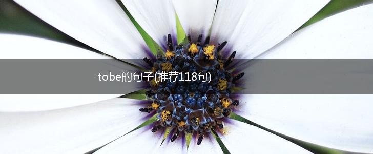 tobe的句子(推荐118句),第1张