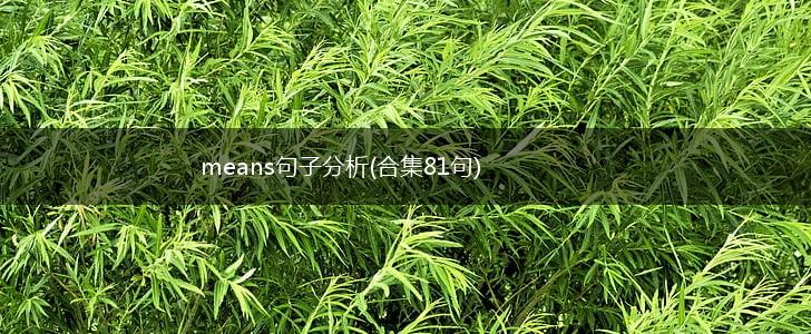 means句子分析(合集81句),第1张