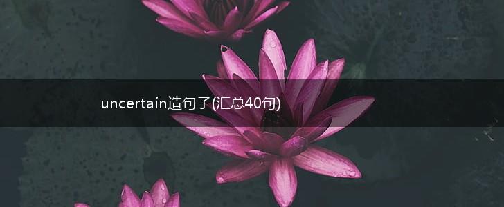 uncertain造句子(汇总40句),第1张