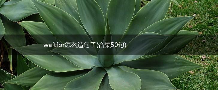 waitfor怎么造句子(合集50句),第1张
