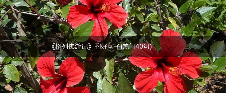 《格列佛游记》的好句子(热门40句),第1张