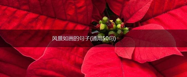 风景如画的句子(通用50句),第1张