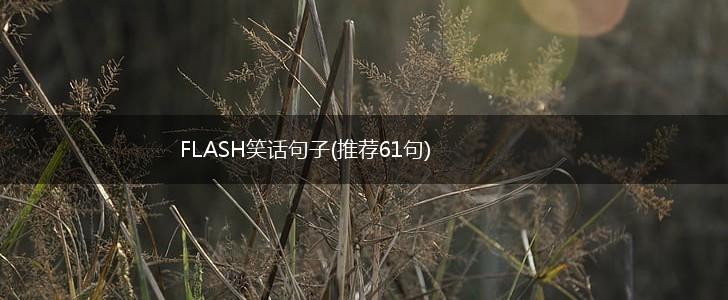 FLASH笑话句子(推荐61句),第1张