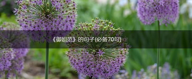 《御姐范》的句子(必备70句),第1张