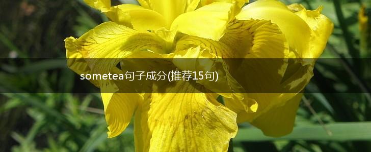 sometea句子成分(推荐15句),第1张