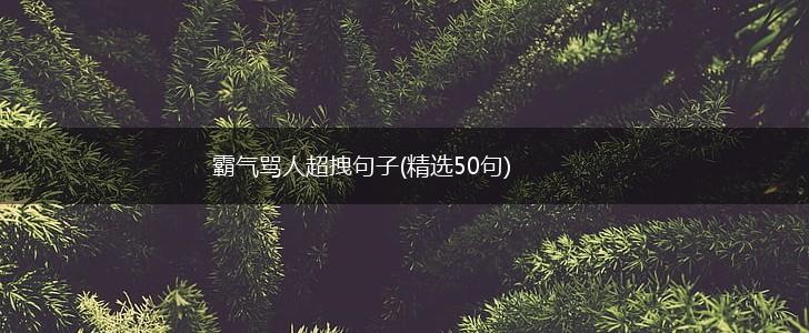 霸气骂人超拽句子(精选50句),第1张