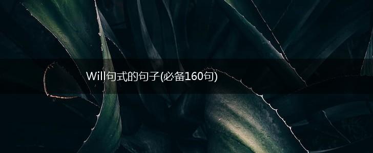 Will句式的句子(必备160句),第1张