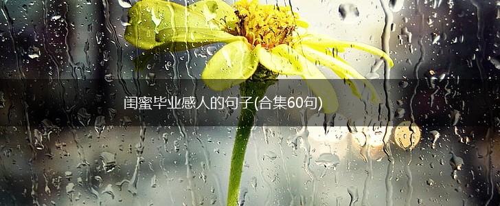 闺蜜毕业感人的句子(合集60句),第1张