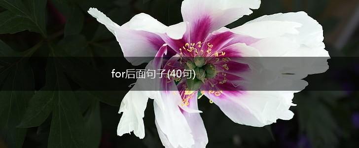 for后面句子(40句),第1张