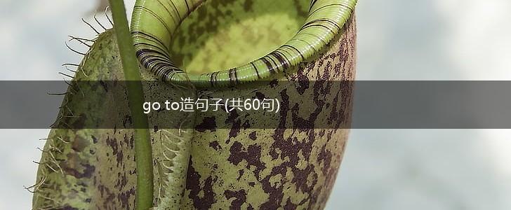 go to造句子(共60句),第1张