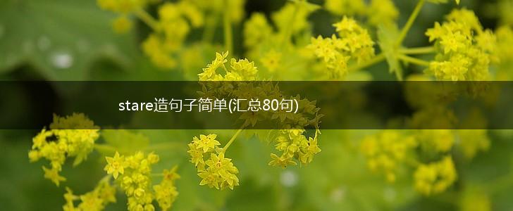 stare造句子简单(汇总80句),第1张