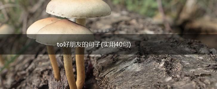 to好朋友的句子(实用40句),第1张